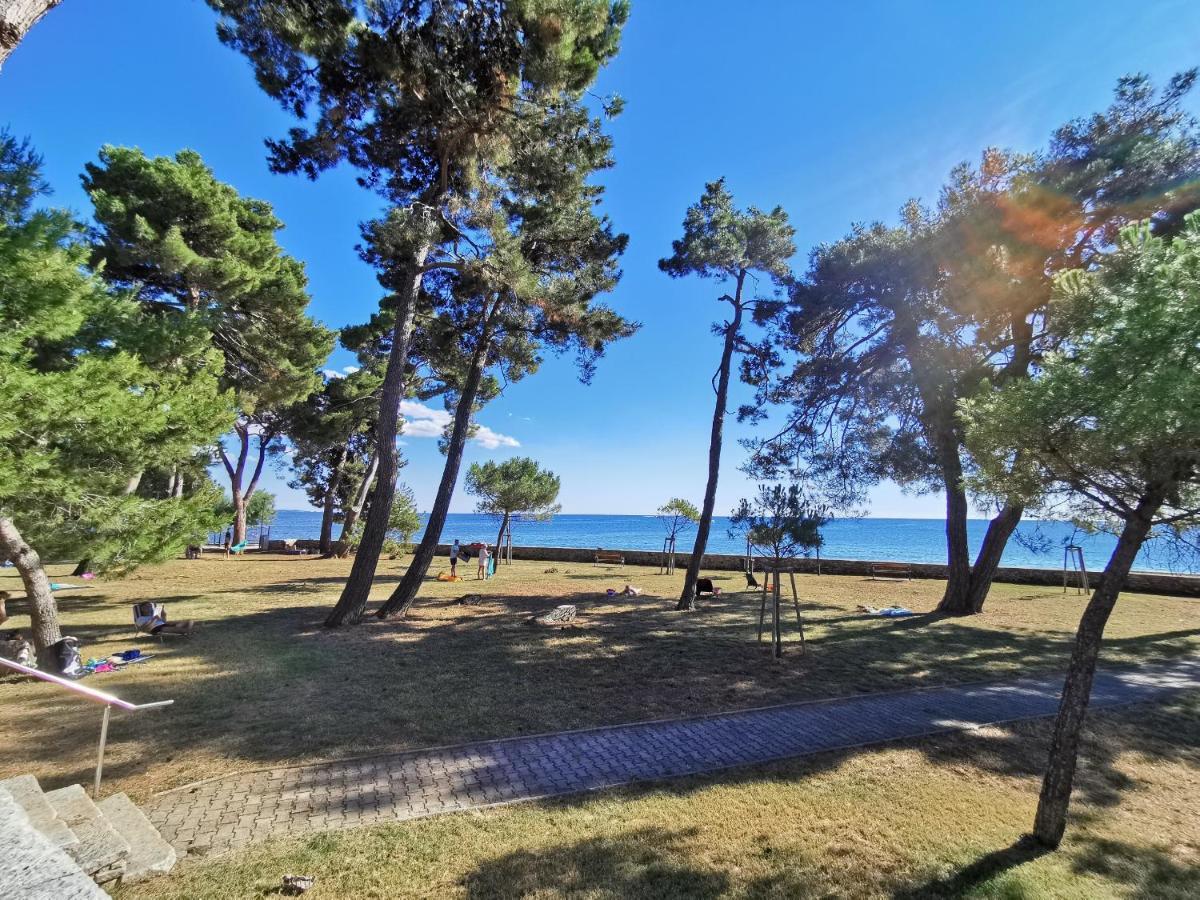 Emily Deluxe Superior 5 Star Studio Apartment, Your Piece Of Heaven With Sea & Park View Новиград Экстерьер фото